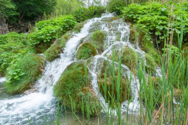 Sahne Plitvice Gölü Hırvatistan 'daki yeşillik yüzünden dalgalanmaya başladı.