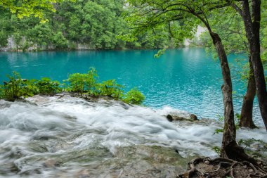 Turkuaz gölet, Hırvatistan 'daki Plitvice Gölleri Ulusal Parkı' nda kayaların üzerinden akan suda yumuşatılmış yapraklarla çevrili..