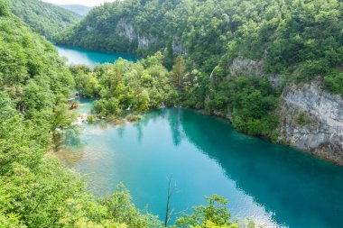 Plitvice Gölleri Ulusal Parkı 'ndaki lüks yeşil ormanlarla çevrili göllerin turkuaz su manzarası.