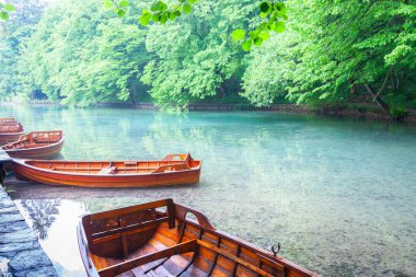 Geleneksel stil ahşap kayıklar Plitvice Gölleri Ulusal Parkı 'nda gölün kıyısında,