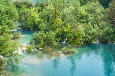 Plitvice Gölleri Ulusal Parkı 'ndaki lüks yeşil ormanlarla çevrili göllerin turkuaz su manzarası.