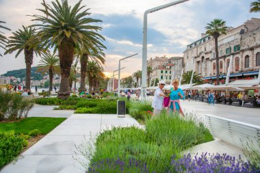 Split Hırvatistan - 26 Mayıs 2011: Riva gezinti güvertesinde iki kadın lavanta çiçeklerine bakıyor ve işaret ediyor