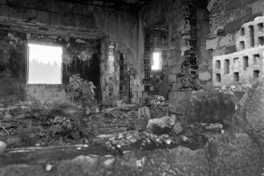 Eğreltiotlarının içindeki terk edilmiş bina ve bitkiler pencereden moloz ve siluet sahnesini geçiyor..