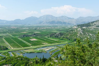 Hırvatistan 'daki tepe yolunun kırsal manzarası.