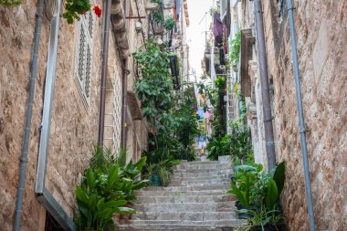 Dubrovnik Hırvatistan 'da genelde Avrupa' da saksı bitkileriyle taş konut duvarları arasındaki adımlar.