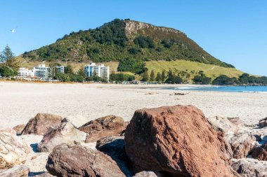 Maunganui Dağı turistik bir yerdir. Sahilin sonunda, ön planda kayalar var.