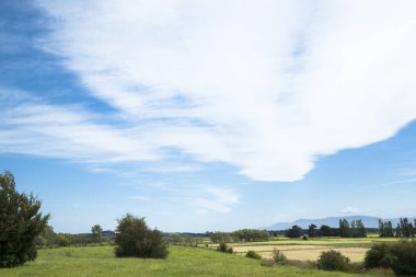 Yeni Zelanda kırsal arazisi üzerinde fan biçiminde yüksek bulut