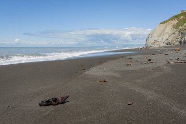 Dalgaları dalgalanan sahil Yeni Zelanda Körfezi.