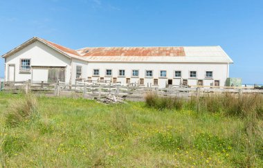 Tipik Yeni Zelanda kırsal kesim kulübesi ve yarda