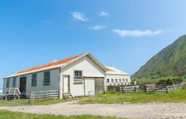 Tipik Yeni Zelanda kırsal kesim kulübesi ve yarda