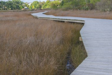 Sulak arazi sazlıklardan uzaklaşıyor..