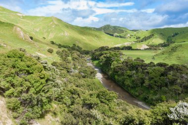 Bush nehri Wairarapa Yeni Zelanda 'daki tepe kırsal tarım arazilerinden geçiriyor..