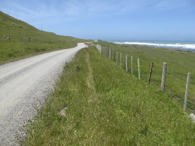 Çitler ve yeşil çimenler arasında denize doğru giden çakıllı toprak yol kıyı tarlaları olsa da