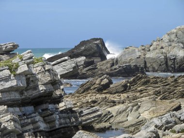 Wet dark rock in middle angular  strata formation  on rugged Wairarapa coast on North Island, New Zealand. clipart