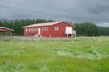 Kırmızı kıvrımlı demir döşeme kulübesi ve bahçe..