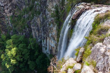 Avustralya 'daki Nightcaps Ulusal Parkı manzaralı yağmur ormanlarında Minyon Şelaleleri.