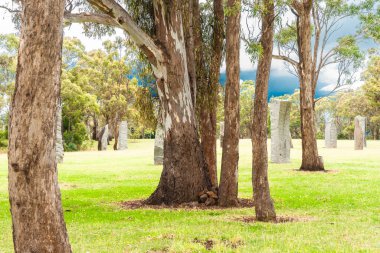 Avustralya 'dan Stone Henge, Glen Innes Centennial Parklands' ın tepesinde taşlar duruyor..