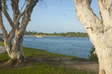 Akşamüstü nehir boyunca ağaçlarla çerçevelenmiş karides teknesi motorları..