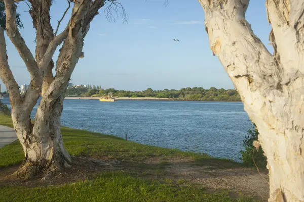 stock image Prawn boat motors down river in late afternoon light framed by trees along river promenade.