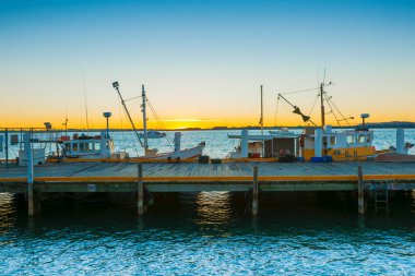 Birinden diğerine bakan iki Avustralya pelikanı portresi.