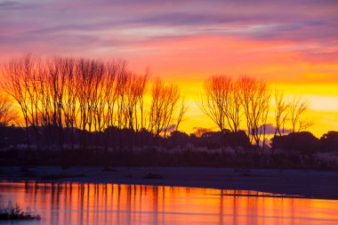 Intense sunset colours beyond bay water and silhouette landscape and leafless trees. clipart