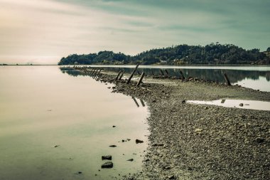 Ohiwa Limanı 'ndaki gelgitte eski direklerle limana yansıyan taşlı çubuk...