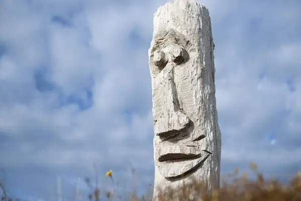 stock image Driftwood totem on dunes at Ohope, Bay off Plenty, New Zealand.