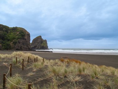 Piha Yeni Zelanda 'da engebeli ve manzaralı vahşi batı kıyısı ortamı.