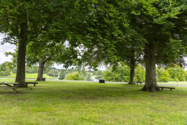 Geniş bir parktaki olgun ağaçlar ve çimenler..