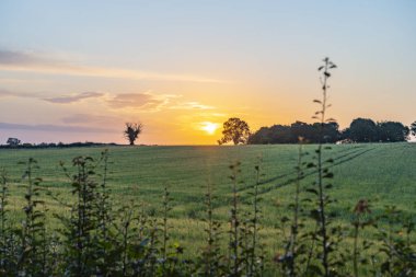 Kırsal arazide gün doğumu. Cotswolds, Stow dışında, Wold 'da.
