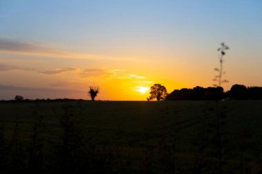 Cotswolds kırsalında, Wold 'da Stow' un hemen dışında gün doğumu önplanında..