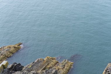 Anglesea Galler 'deki Holyhead' in engebeli kıyı şeridi..