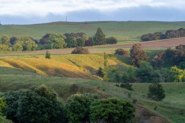 Yeni Zelanda kırsalında öğleden sonra güneşinin uzun gölgesi Wallingford 'daki ağaçların ve tarlaların üzerinde..
