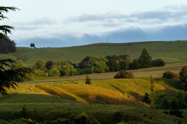 Yeni Zelanda kırsalında öğleden sonra güneşinin uzun gölgesi Wallingford 'daki ağaçların ve tarlaların üzerinde..