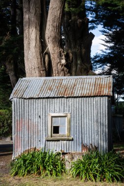 Wallingford 'da uzun ağaçlarla çevrili küçük bir demir kulübe..