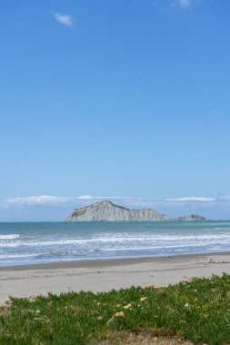 Yeni Zelanda Hawkes Körfezi 'nin güneyindeki Waimarama Sahili açıklarındaki Çıplak Ada.
