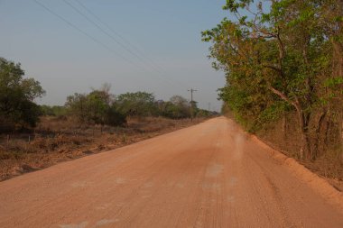 Brezilya 'daki Pantanal boyunca ilerleyen tozlu yolun kahverengi toprağı.
