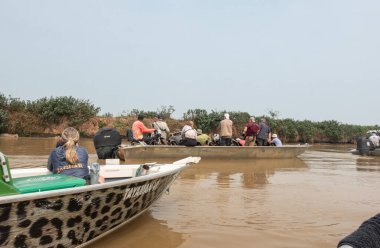 Pantanal Brazil - October 11 2024; Photography tourism on busy Pantanal river with boats full of people attempting to get better sighting position.2024; Photography tourism on busy Pantanal river with boats full of people attempting to get better sig clipart