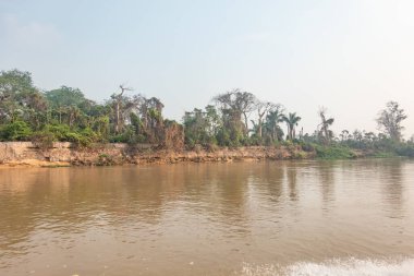 Duman, Pantanal Brezilya 'daki nehir manzarasının atmosferini Ekim 2024' te doldurdu.