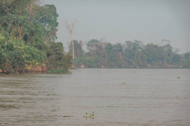 Duman, Pantanal Brezilya 'daki nehir manzarasının atmosferini Ekim 2024' te doldurdu.