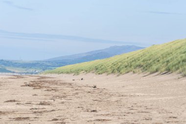 Kuzey Galler 'de manzaralı Harlech Sahili kumulları ve otlar gözden kayboluyor..