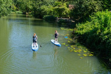 Chippenham Birleşik Krallık - 9 Ağustos 2024: İki genç kadın Avon Nehri 'nde kürek çekiyor.