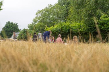 Avebury Birleşik Krallığı - 10 Ağustos 2024 Çim ve kilim üzerinde oturan bir grup insan tarih öncesi Avebury Taş Çemberi sahasında bir tür ritüel aktivitesine katılıyorlar..