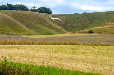 White horse monument on hillside at Cherhill in Wiltshire United Kingdom. clipart