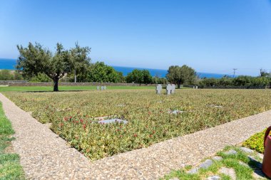 Girit - 17 Ağustos 2024; Maleme Alman Askeri Mezarlığı mezarları ve anma haçları yer örtüsü ve zeytin ağaçlarına özen gösterildi.