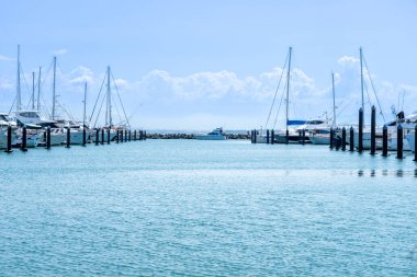 Rıhtımları ve demirli tekneleri olan Tauranga marinası ve mavi su ve gökyüzü kanalı.