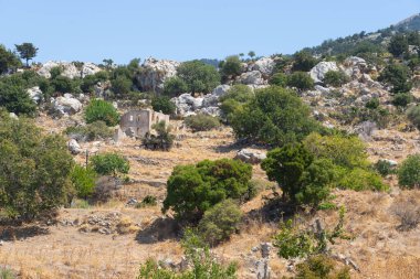 Yunan Adası Kos 'taki yamaçta kayalık, eğimli bir arazi..