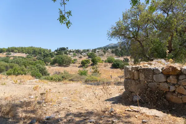 Yunan Adası Kos 'taki yamaçta kayalık, eğimli bir arazi..