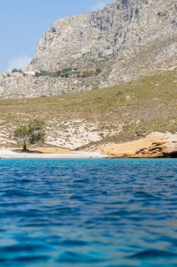 Yunanistan 'ın Kalymnos adasındaki uzak resimli plaj sahnesindeki bir ağaç.