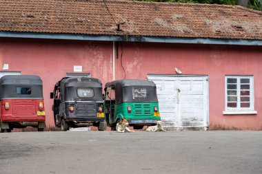 Nuwara Eliya Sri Lanka - 6 Eylül 2024; Üç tuk-tuk park etmiş ve iki köpek eski binanın dışında sokakta yatıyor.